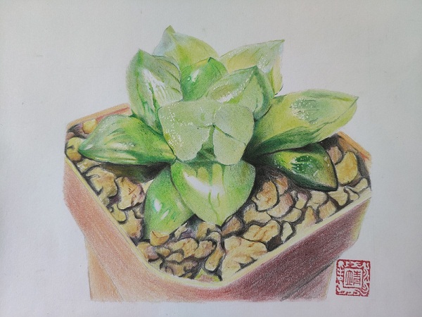 彩铅绘画——李靖靖