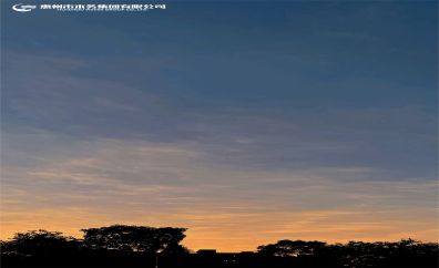 油画之光——骆咏仪