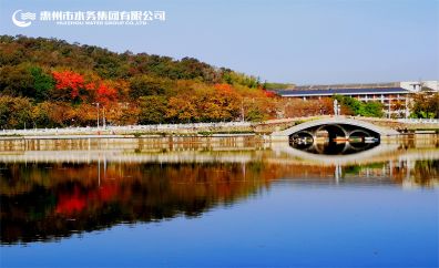 南湖倒影——罗植元