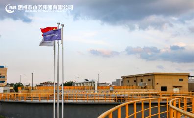 旗帜猎猎，指引方向——朱玉婷